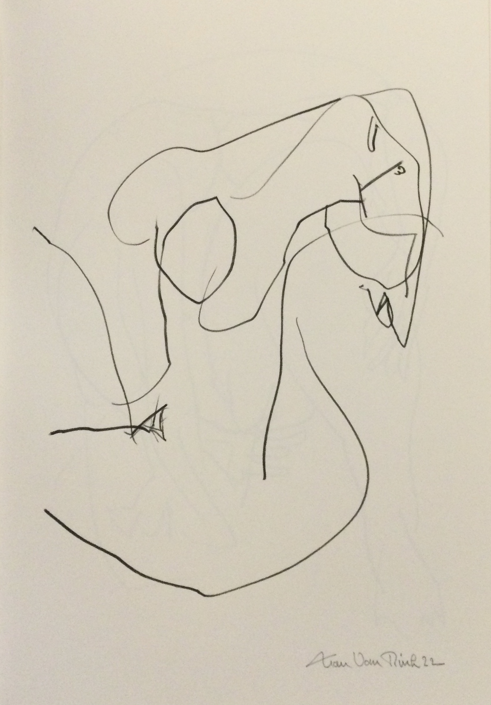 DESSIN