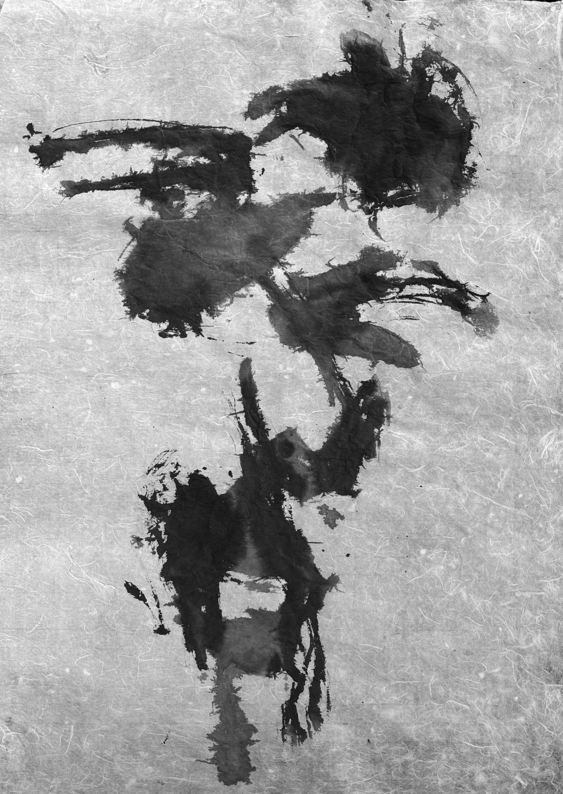 ENCRE  DE  CHINE