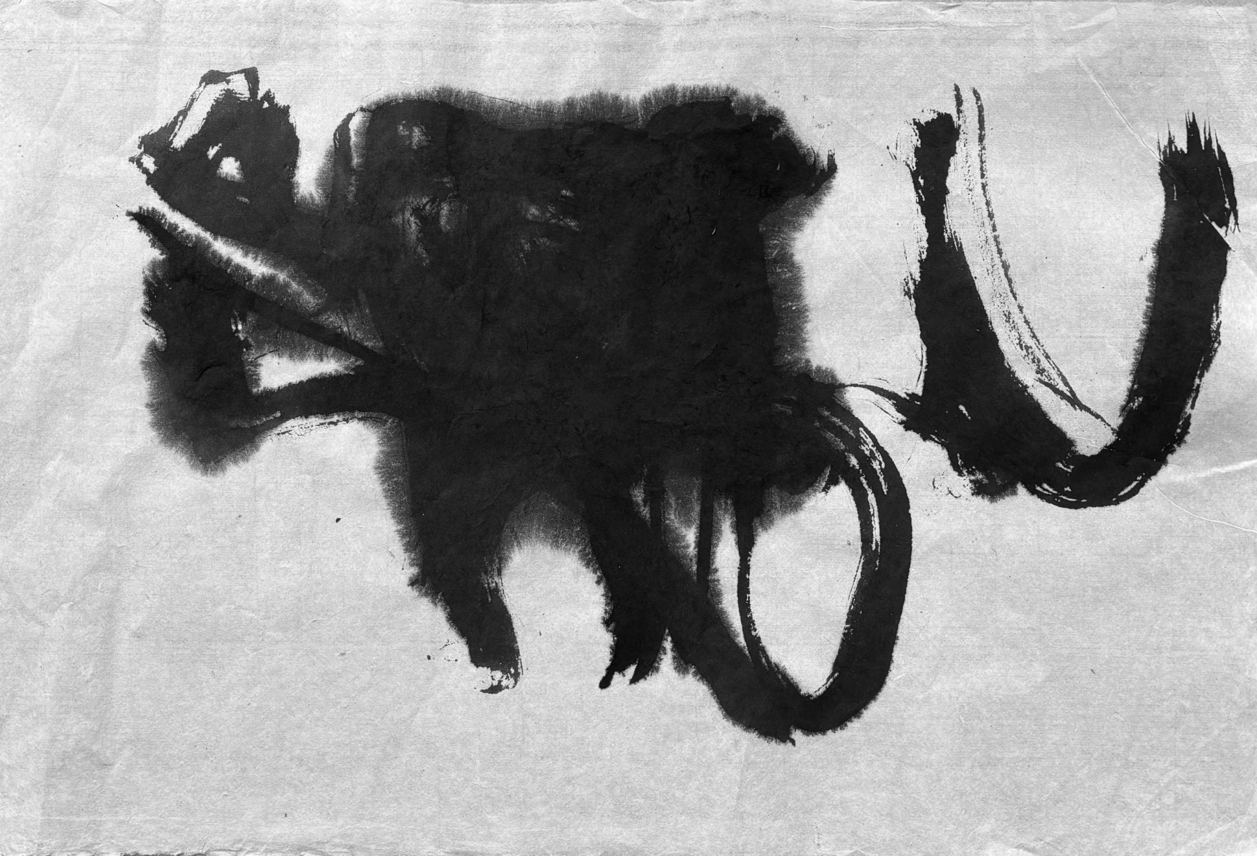 ENCRE  DE  CHINE