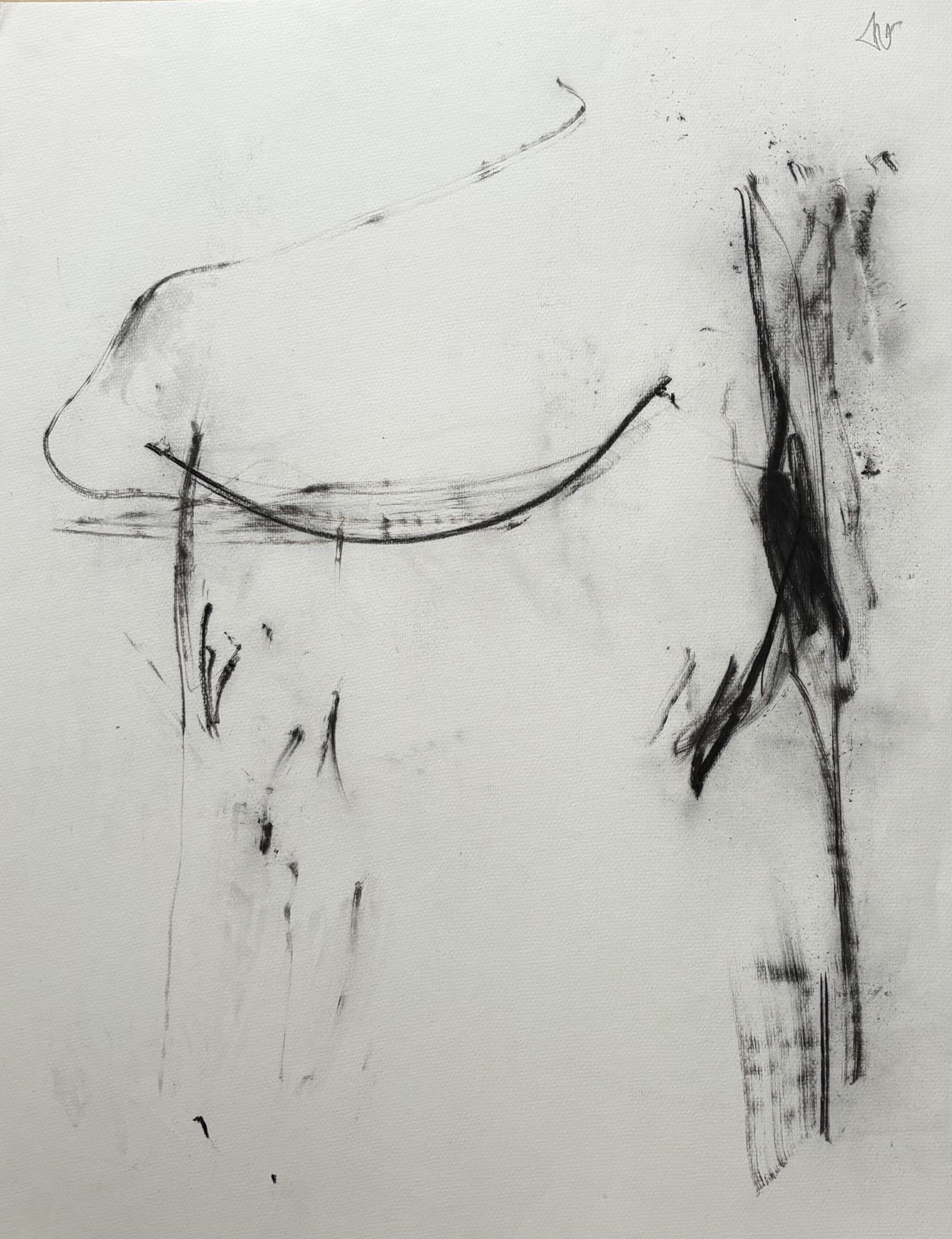 DESSIN