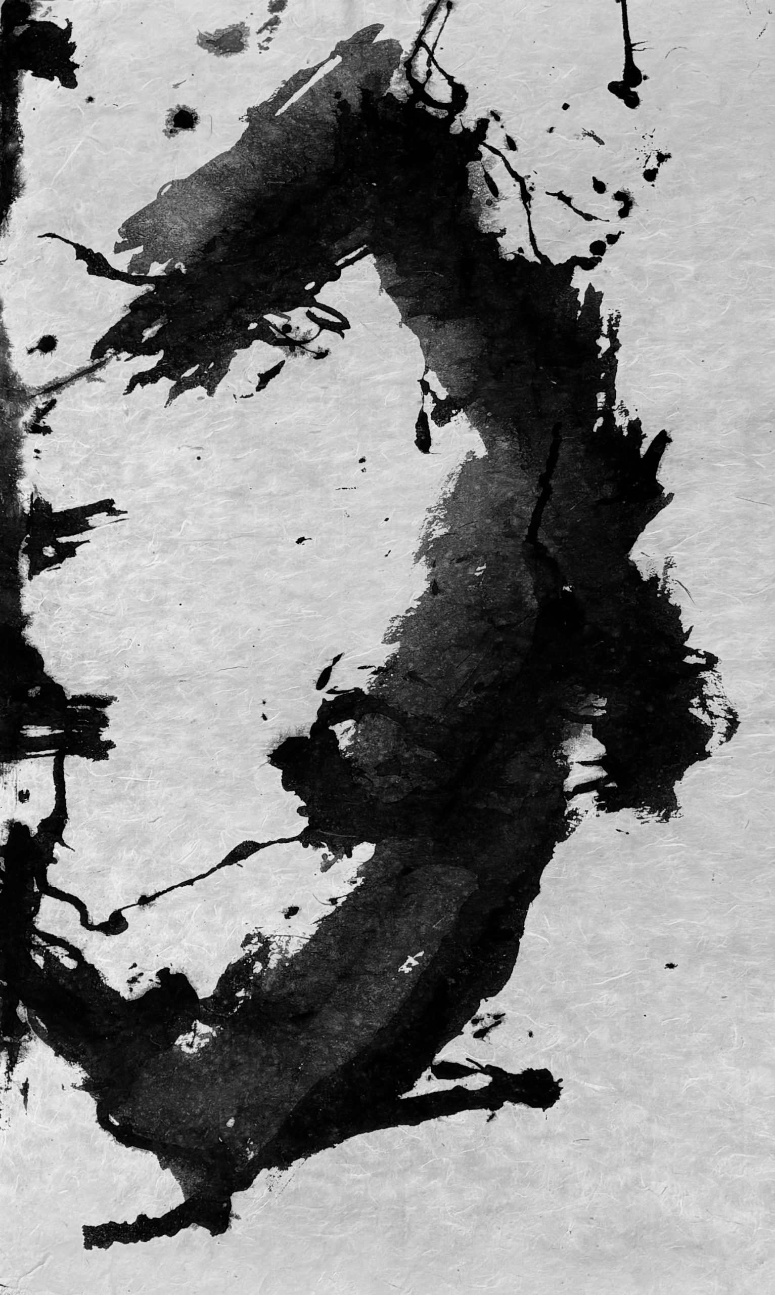 ENCRE  DE  CHINE
